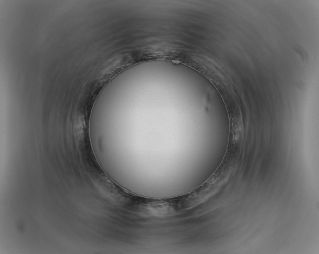 X0000113150279200909181756