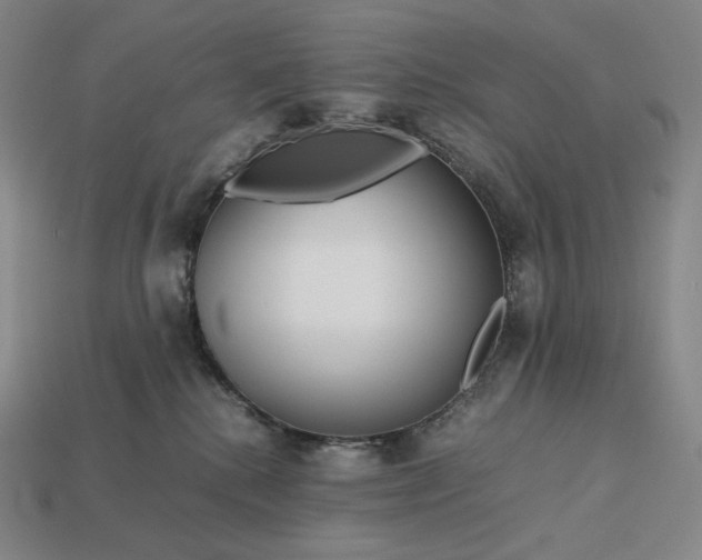 X0000113150280200909181756