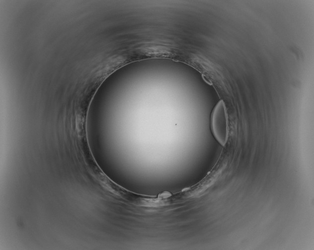 X0000113150281200909181756