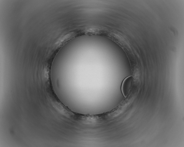 X0000113150282200909181756