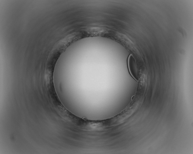 X0000113150283200909181756