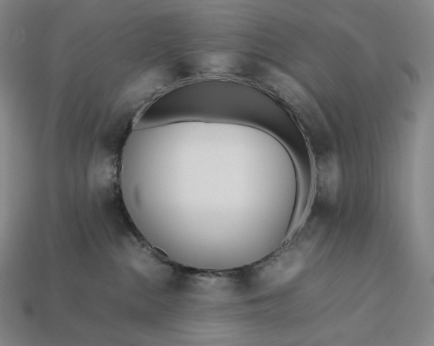 X0000113150284200909181756