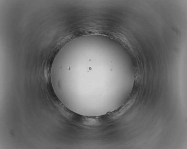 X0000113150285200909181757