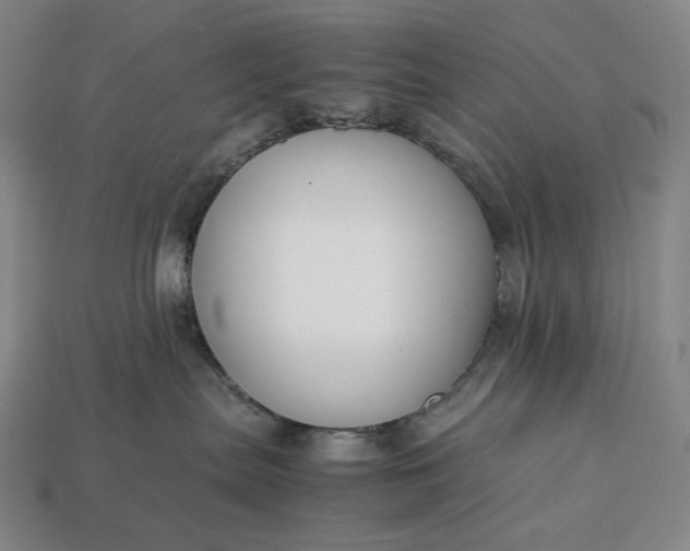 X0000113150287200909181757