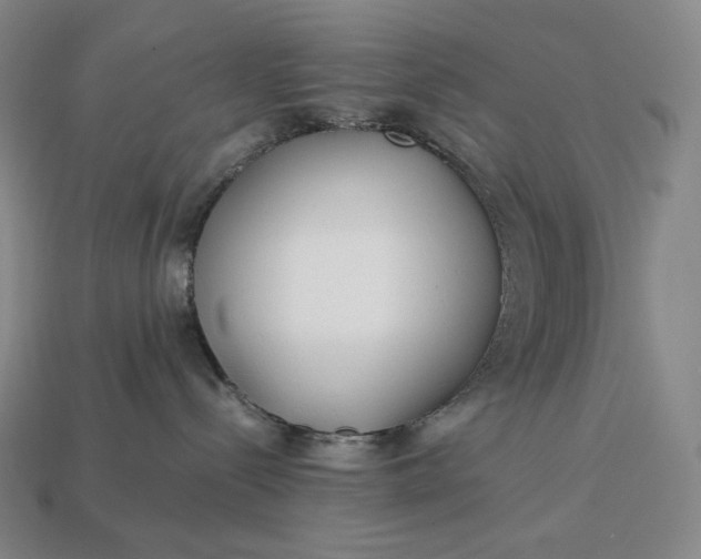 X0000113150288200909181757