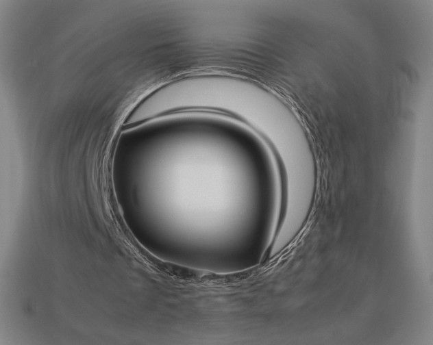 X0000113150289200909181756