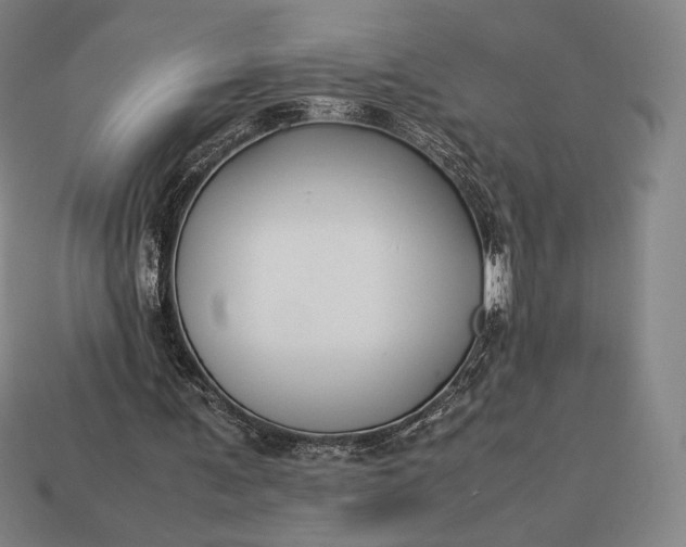 X0000113150291200909181756