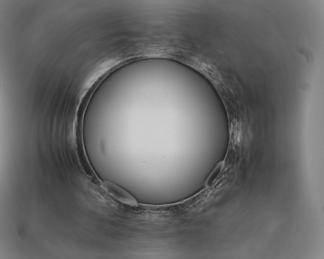 X0000113150292200909181756