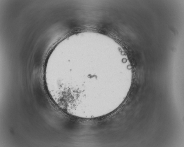 X0000113150293200909181756