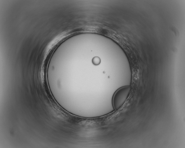 X0000113150294200909181756