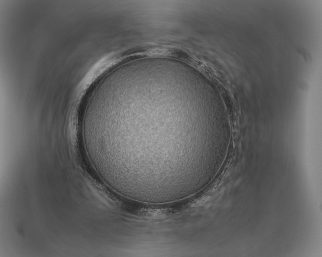 X0000113150295200909181756