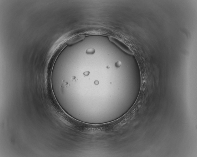 X0000113150296200909181756