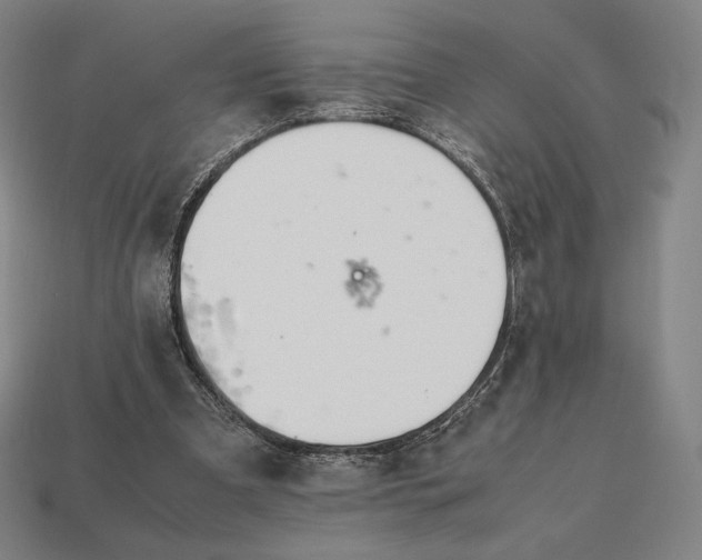 X0000113150297200909181756