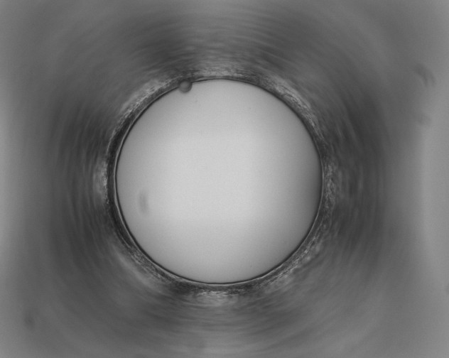 X0000113150298200909181756