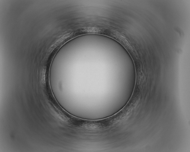 X0000113150299200909181756