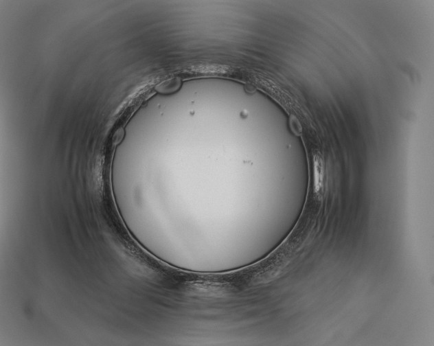 X0000113150300200909181756