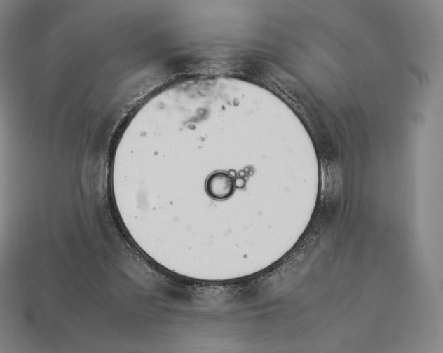 X0000113150301200909181756