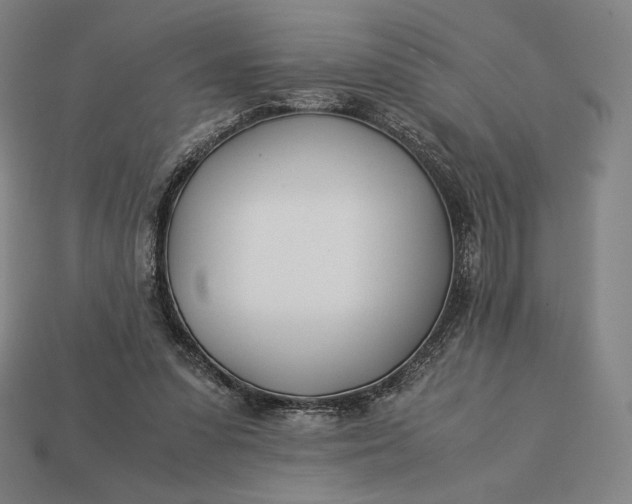 X0000113150303200909181756