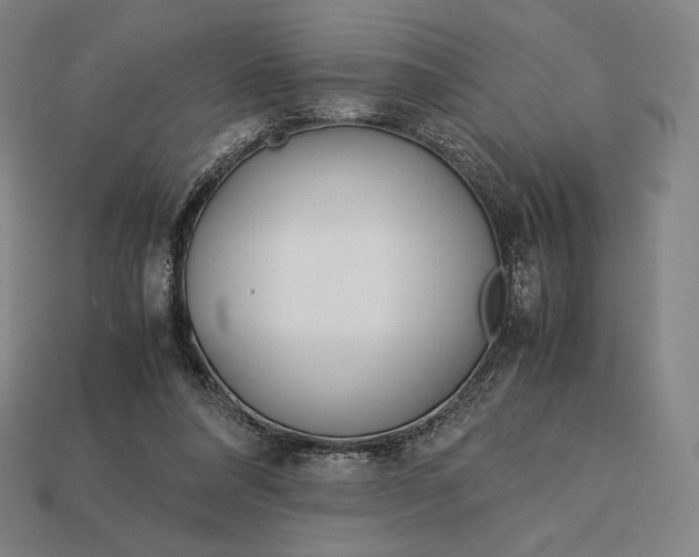 X0000113150304200909181756