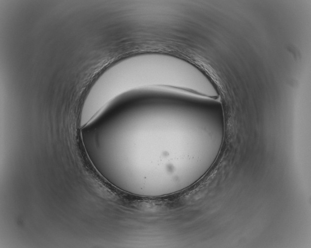 X0000113150305200909181756