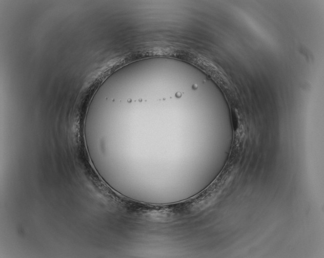 X0000113150306200909181756