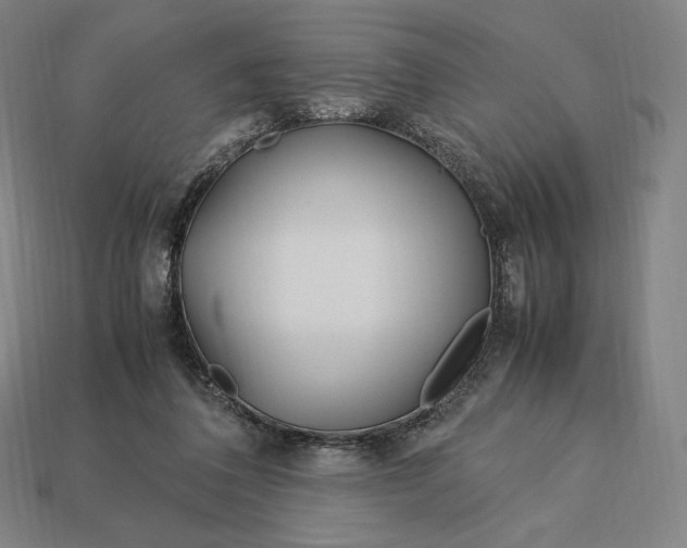 X0000113150308200909181756