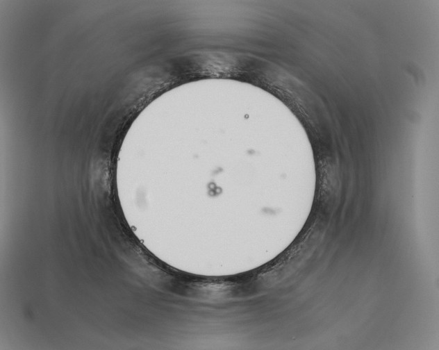 X0000113150313200909181755