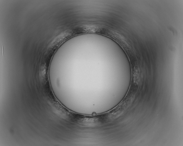 X0000113150314200909181755