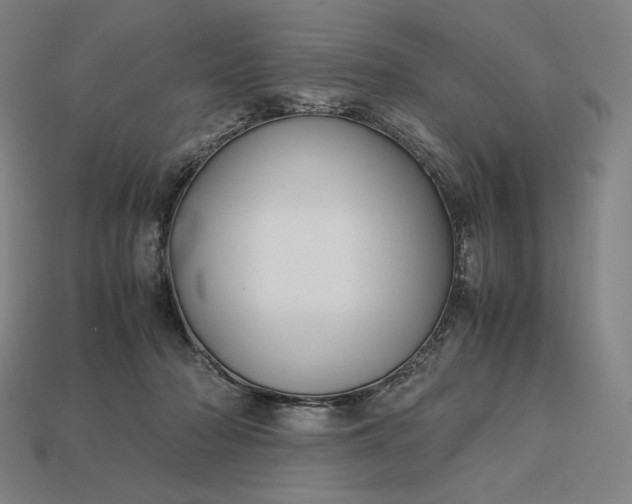 X0000113150318200909181755