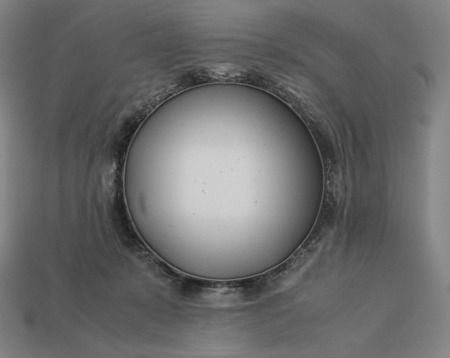 X0000113150319200909181755