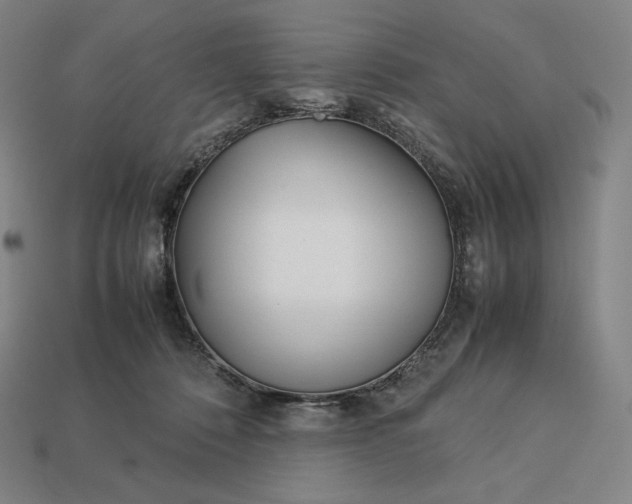 X0000113150320200909181755