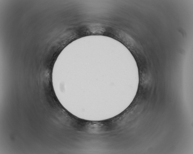 X0000113150321200909181755