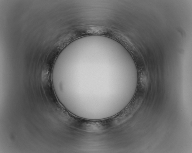 X0000113150322200909181755