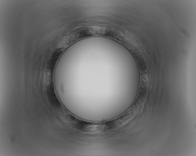 X0000113150323200909181755