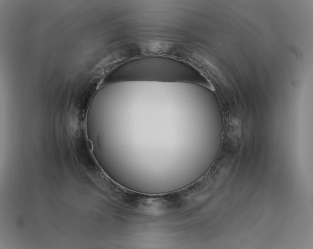 X0000113150324200909181755