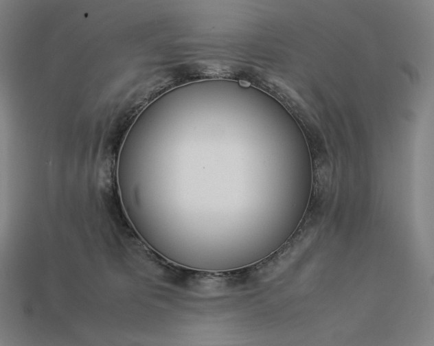 X0000113150325200909181755