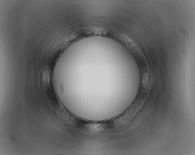 X0000113150326200909181755