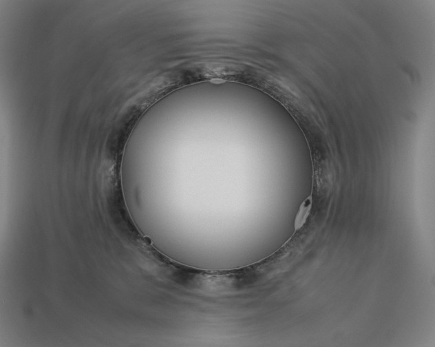 X0000113150327200909181755