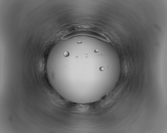 X0000113150328200909181755