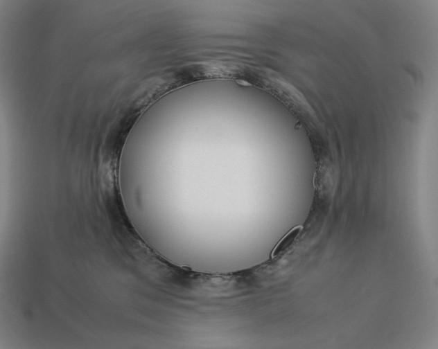 X0000113150329200909181755