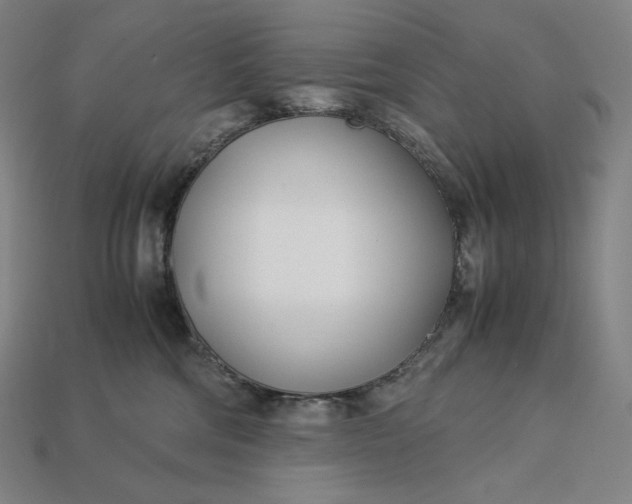 X0000113150330200909181755