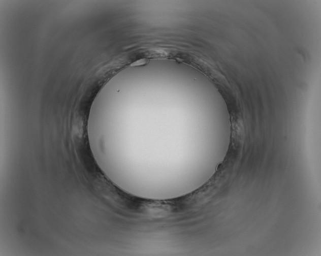 X0000113150331200909181755