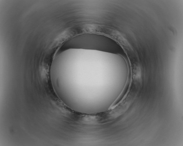 X0000113150332200909181755