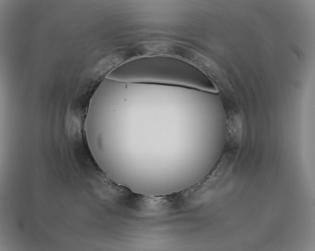 X0000113150333200909181755