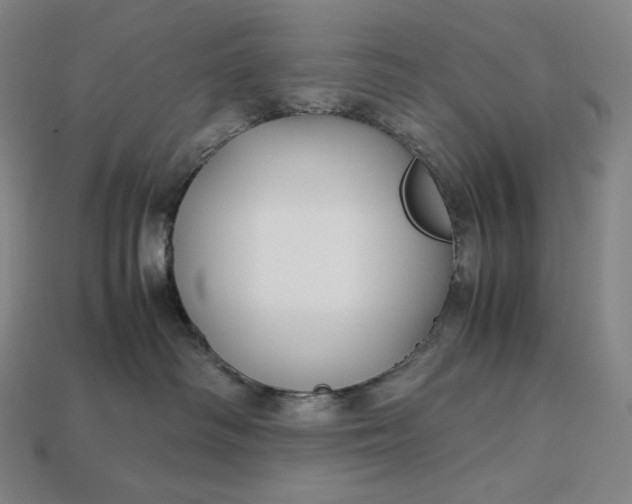 X0000113150334200909181755