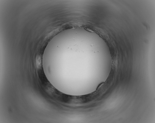 X0000113150335200909181755