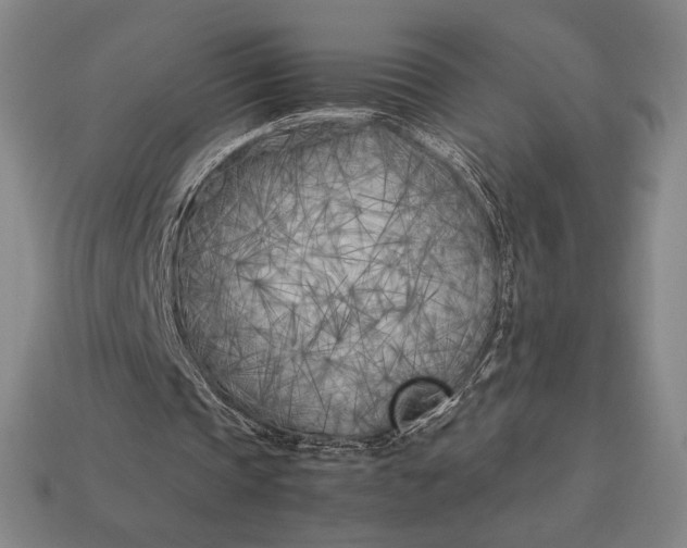 X0000113150337200909181755