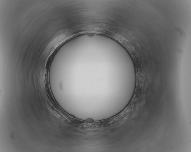 X0000113150338200909181755