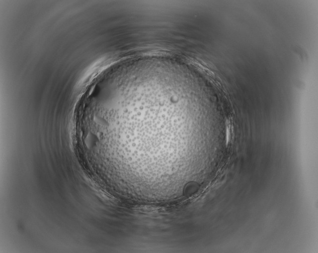 X0000113150339200909181755