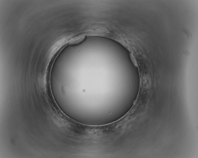 X0000113150340200909181755